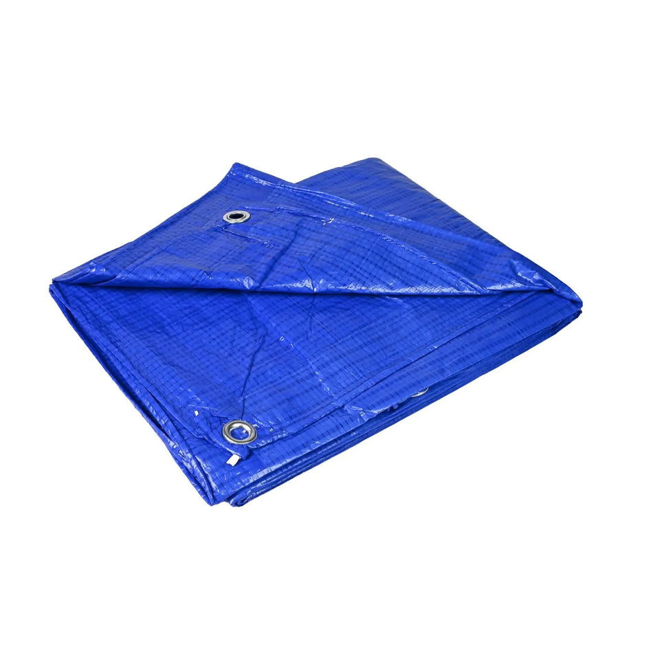 Benson Tools Dekzeil 2 x 3 m blauw