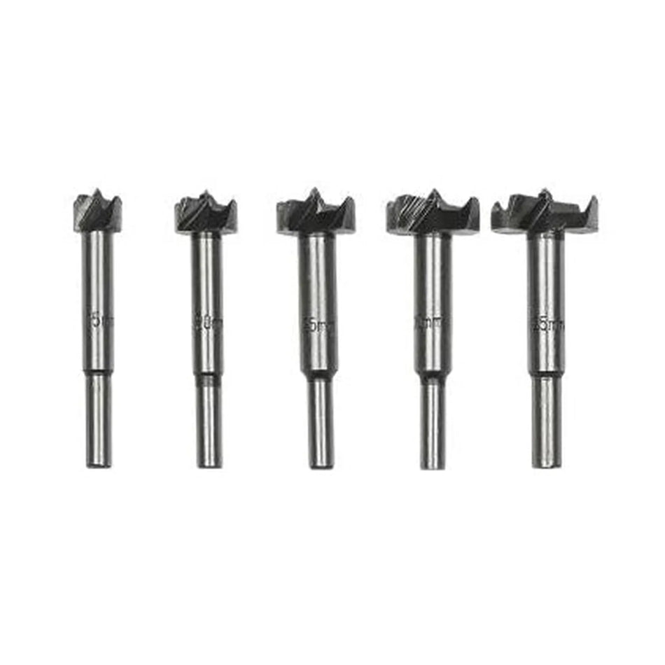 Benson Tools Boorset 5 dlg forstnerboor