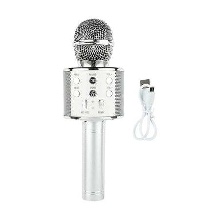 Benson Electric Karaoke microfoon draadloos