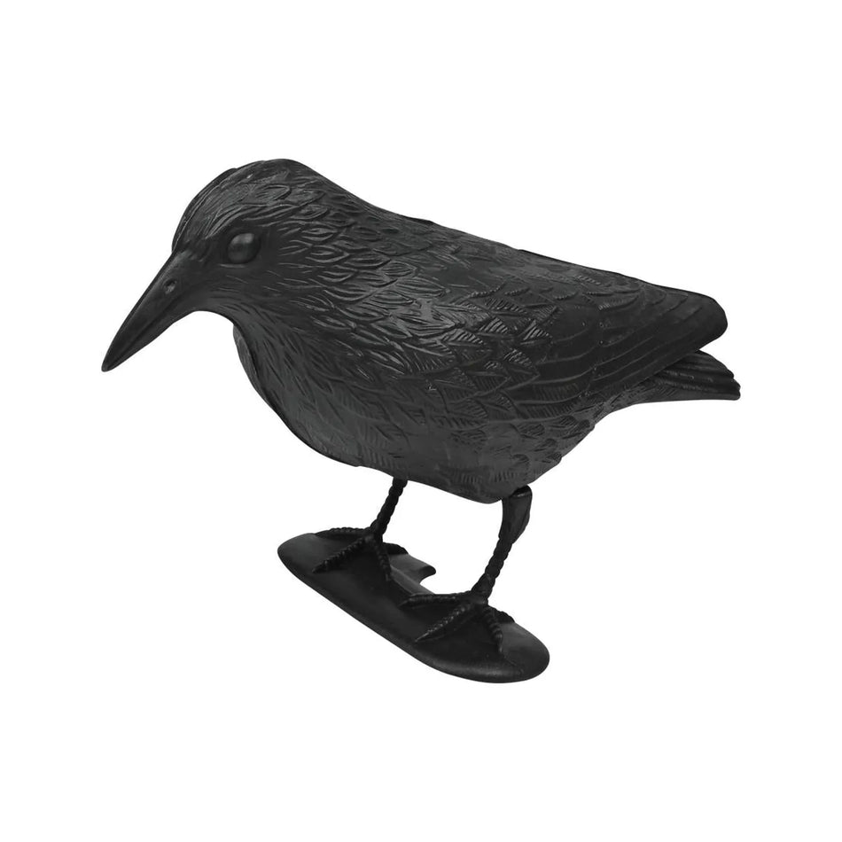 Benson Garden Vogelverschrikker kraai