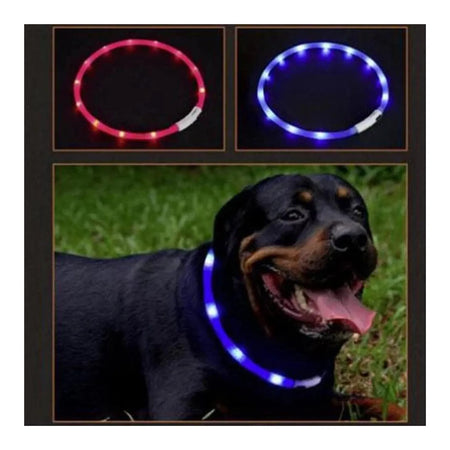 Benson Outdoor Hondenhalsband LED mix